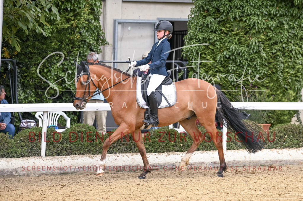 Schugtsche-Aluta25-44.DresssurreiterWB-275 | Schugtsche Fotografie - Realisiert mit Pictrs.com