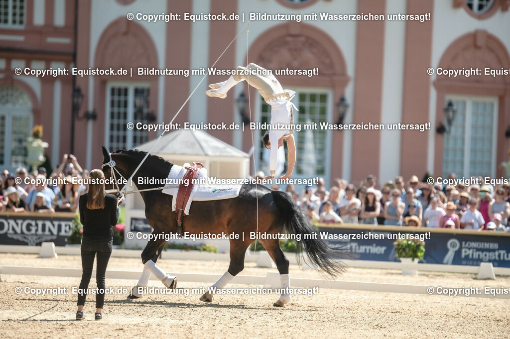 20230528_Voltigieren_NASPA_0209 | equistock