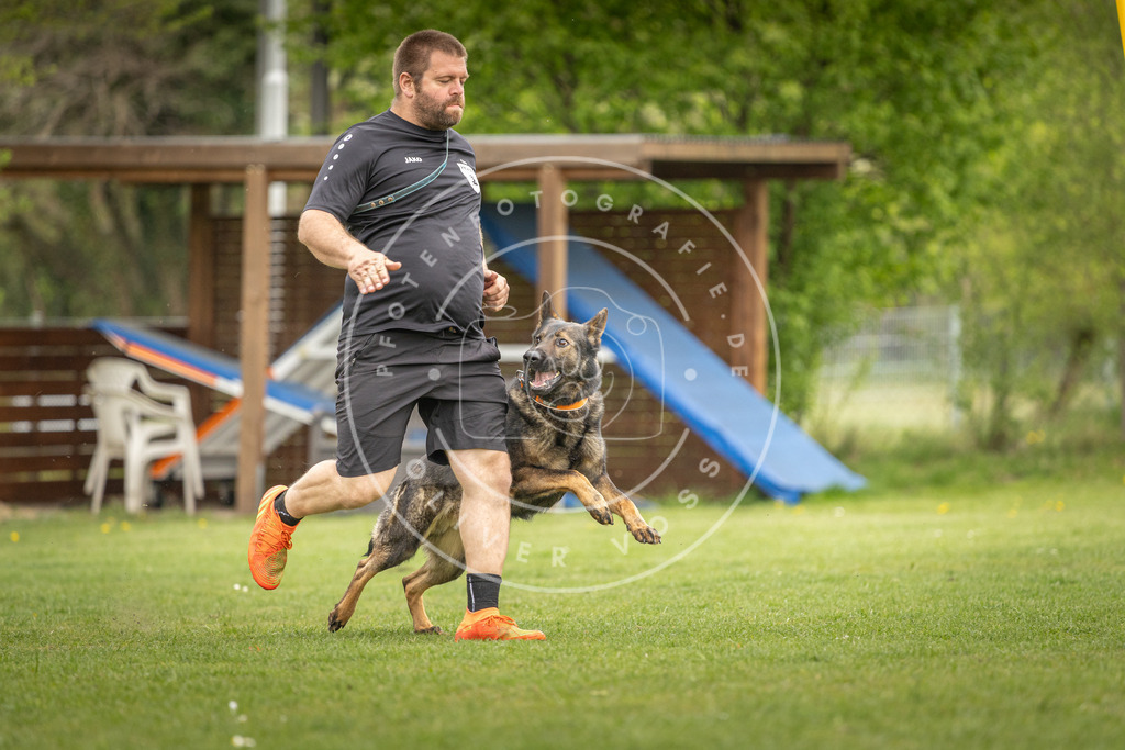 Pfotenfotografie_DV3A9879 | Hundefotografie, Tierfotograf, Pfotenfotografie, Fotoshooting Hund, Hunde Portrait, Hundesport, Hundeportraits, Heideshooting, Hunde, Sportfotograf, Hundefotograf, Turnierhundsport, THS,  - Realisiert mit Pictrs.com