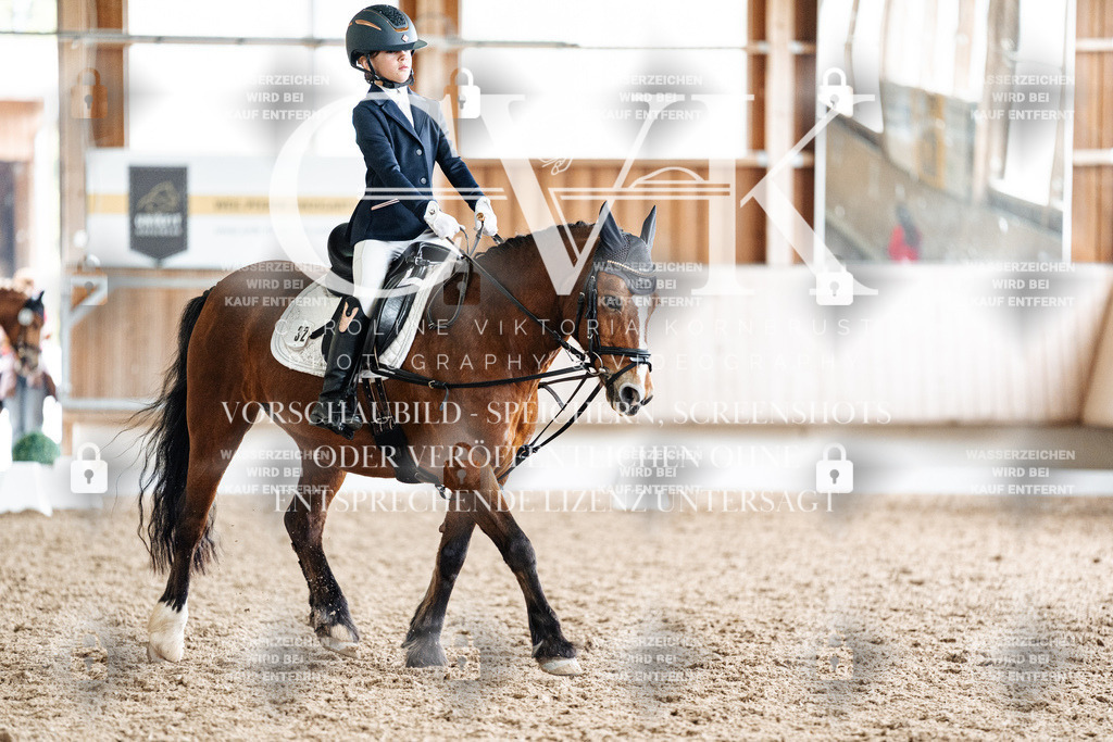 CK900691 | Turnierfotografie Pferdefotografie Trier Rheinland-Pfalz Pferdesport Reitsport Tierfotografie Sportfotografie Pferdevideo Pferdevideografie Equestrianvideography equestrianphotography  - Realisiert mit Pictrs.com