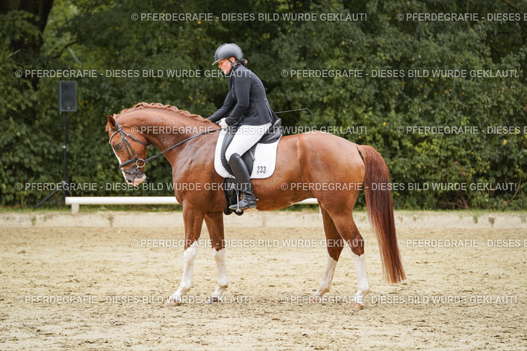 DSC00466 | Pferdegrafie