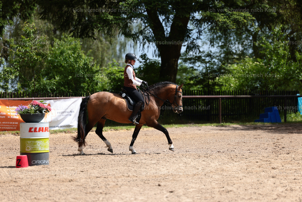 KlasseE_Stoibphotography_CAM22381.JPG | working equitationturnier fotograf videograf stoibphotography marixx film working equitation deutschland reitsport turnierfotografie eventfotografie equestrian events