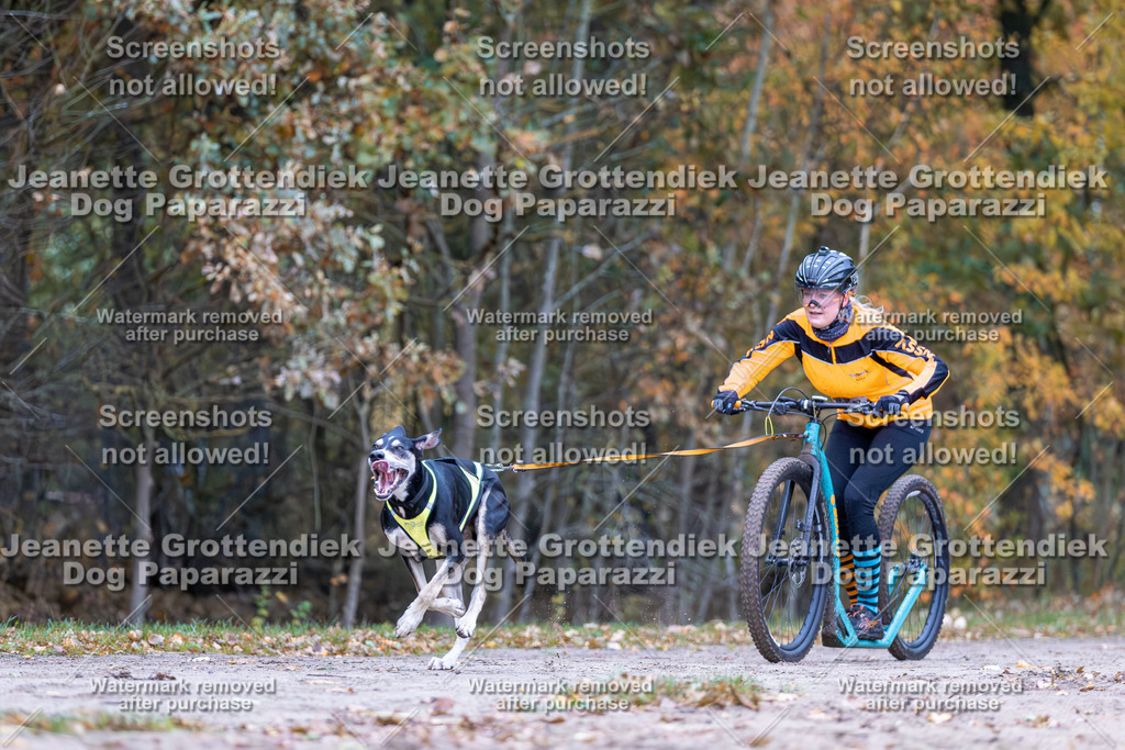 Dog Paparazzi - SD CaniX Championship 2025-19 | Dog Paparazzi Jeanette Grottendiek Fotografie & Videografie - Realisiert mit Pictrs.com