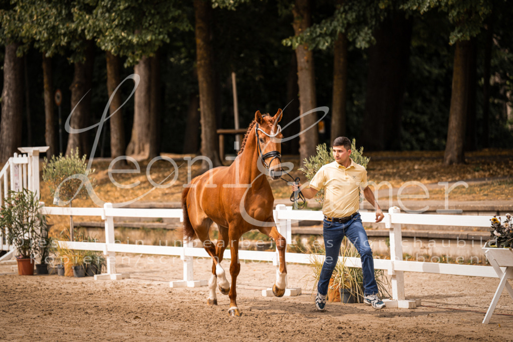 5.Fr00025 | Leoni Ertmer Photography - Realisiert mit Pictrs.com