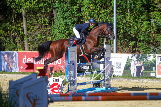 DKP43500 | Turniersportfotografie; Pferdefotografie; Dressurfotografie