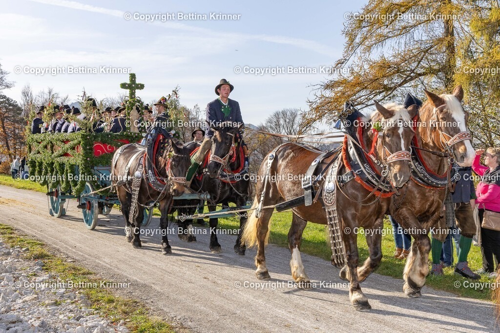 LBT24-1505 | foto-bettina-krinner - Realisiert mit Pictrs.com