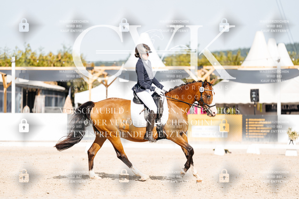 CK905387 | Turnierfotografie Pferdefotografie Trier Rheinland-Pfalz Pferdesport Reitsport Tierfotografie Sportfotografie Pferdevideo Pferdevideografie Equestrianvideography equestrianphotography  - Realisiert mit Pictrs.com
