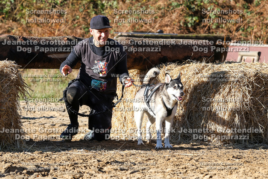 Dog Paparazzi - Strongdog 10-25-1916 | Dog Paparazzi Jeanette Grottendiek Fotografie & Videografie - Realisiert mit Pictrs.com