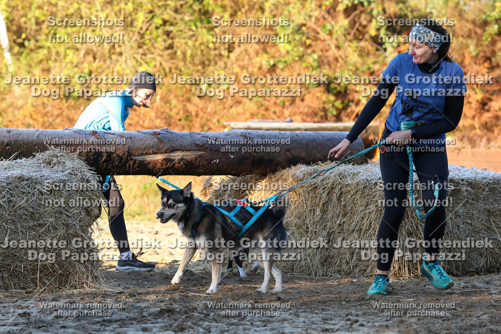 Dog Paparazzi - Strongdog 10-25-637 | Dog Paparazzi Jeanette Grottendiek Fotografie & Videografie - Realisiert mit Pictrs.com