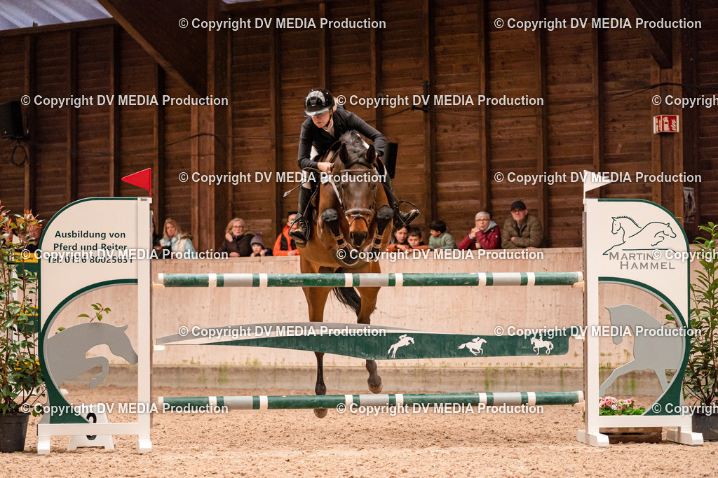 Springen Tag 3-366 | dv-media-shop - Realisiert mit Pictrs.com