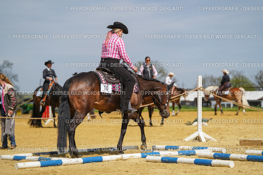 DSC05160 | Pferdegrafie