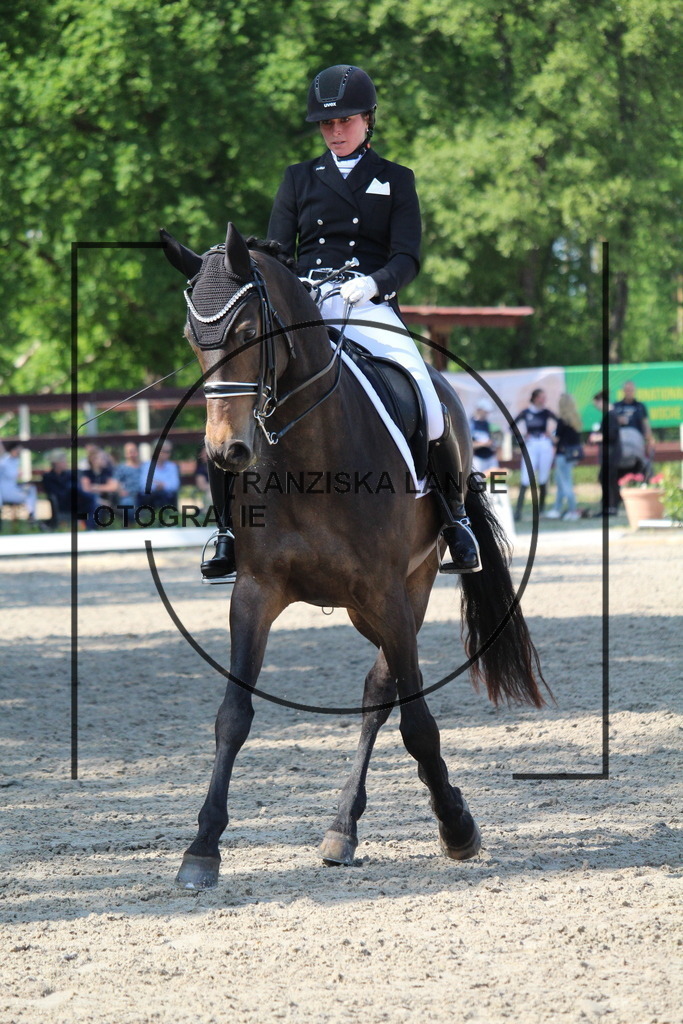 IMG_5430 | franziskalange - Realisiert mit Pictrs.com