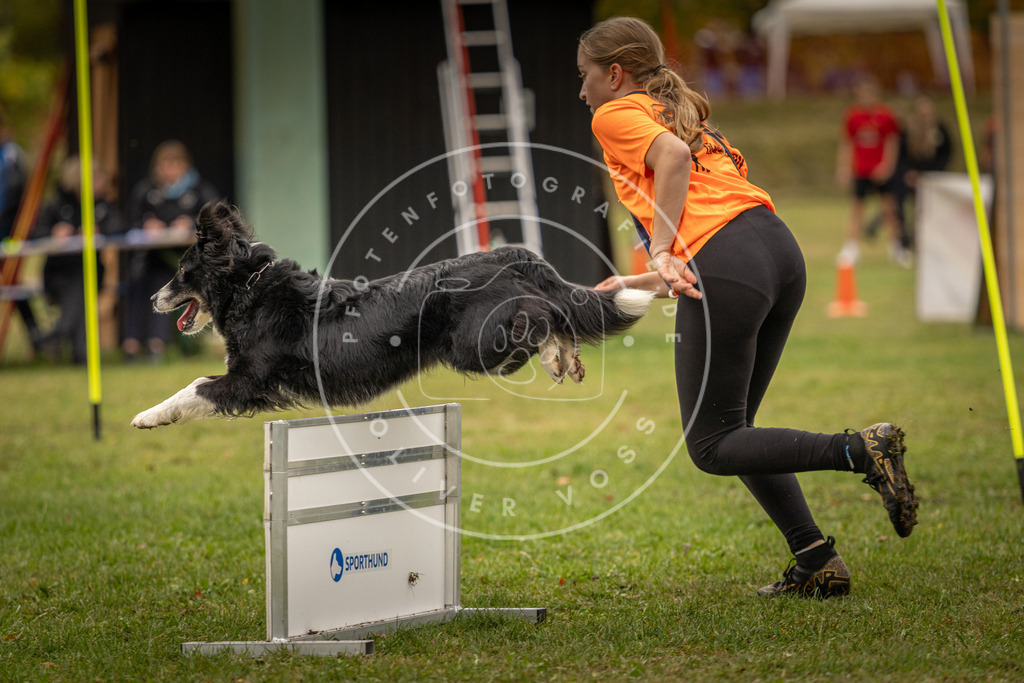 Pfotenfotografie_DV3A6244 | Hundefotografie, Tierfotograf, Pfotenfotografie, Fotoshooting Hund, Hunde Portrait, Hundesport, Hundeportraits, Heideshooting, Hunde, Sportfotograf, Hundefotograf, Turnierhundsport, THS,  - Realisiert mit Pictrs.com