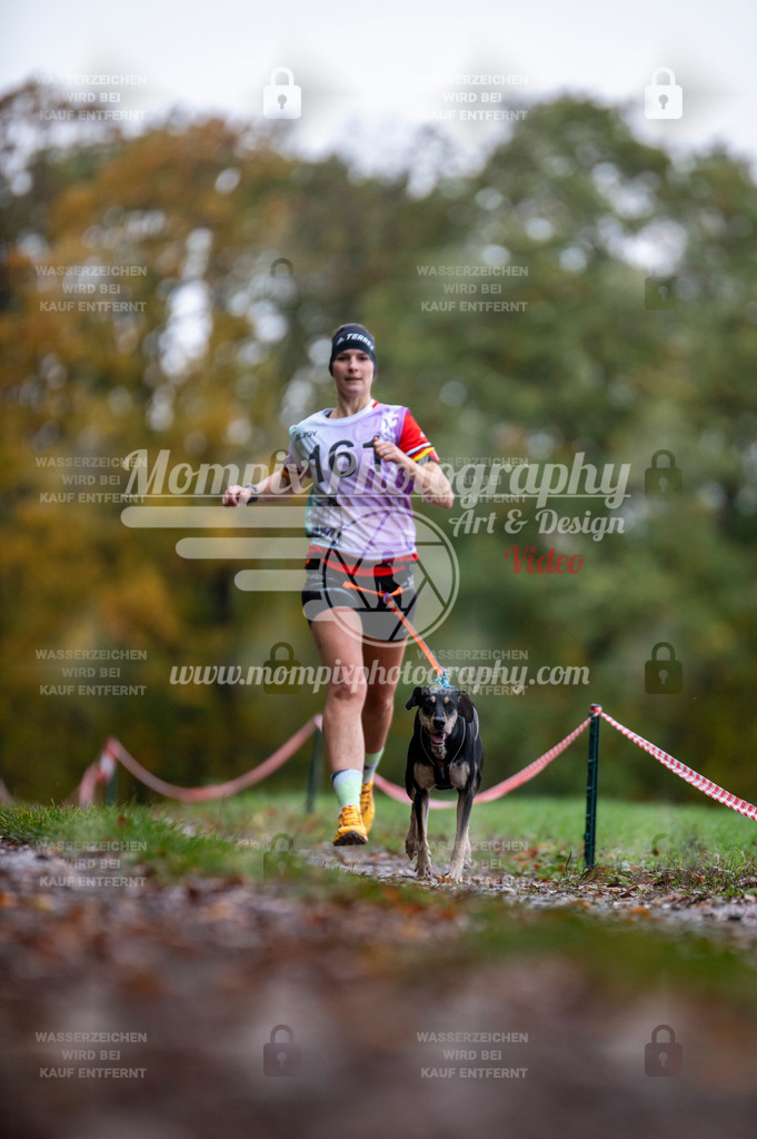 DBT_DAKM_SA_4_11_2023_Canicross-12 | PayLife