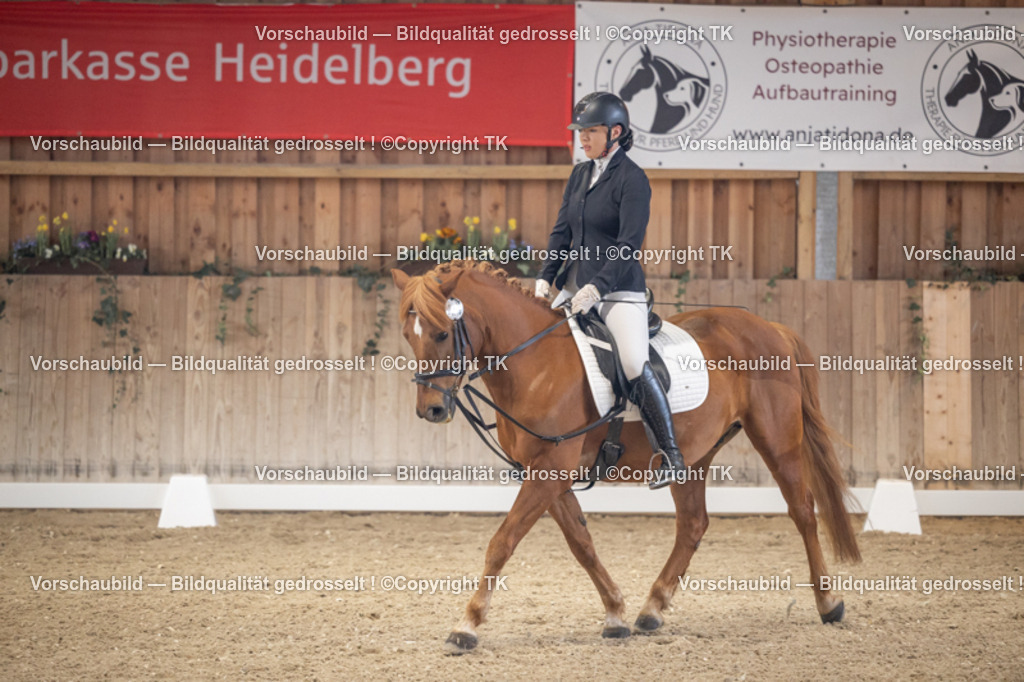 _D5A5517 | Emotionale Pferde- & People-Fotografie rund um Heidelberg, Leimen & Umgebung. Natürliche Fotos von Pferd, Mensch & Familie. Jetzt Termin sichern!