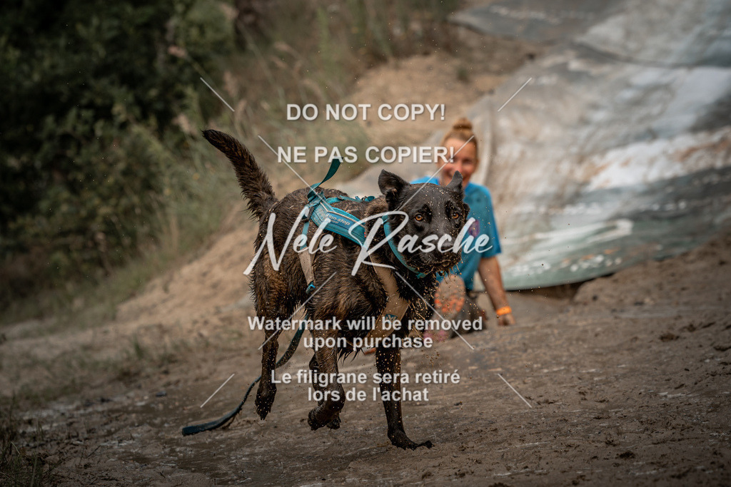 nelerasche_sa1345-1430_34 | nelerasche
