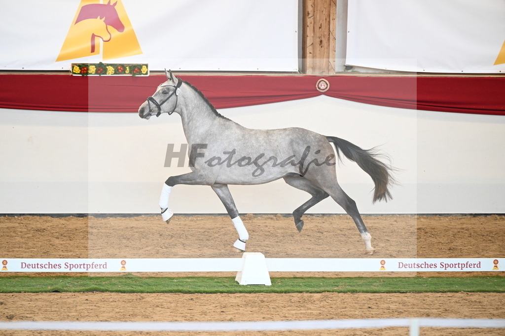 Kat.-Nr. 72 v. Johnson_Lehner_2250612 | hf-fotografie - Realisiert mit Pictrs.com