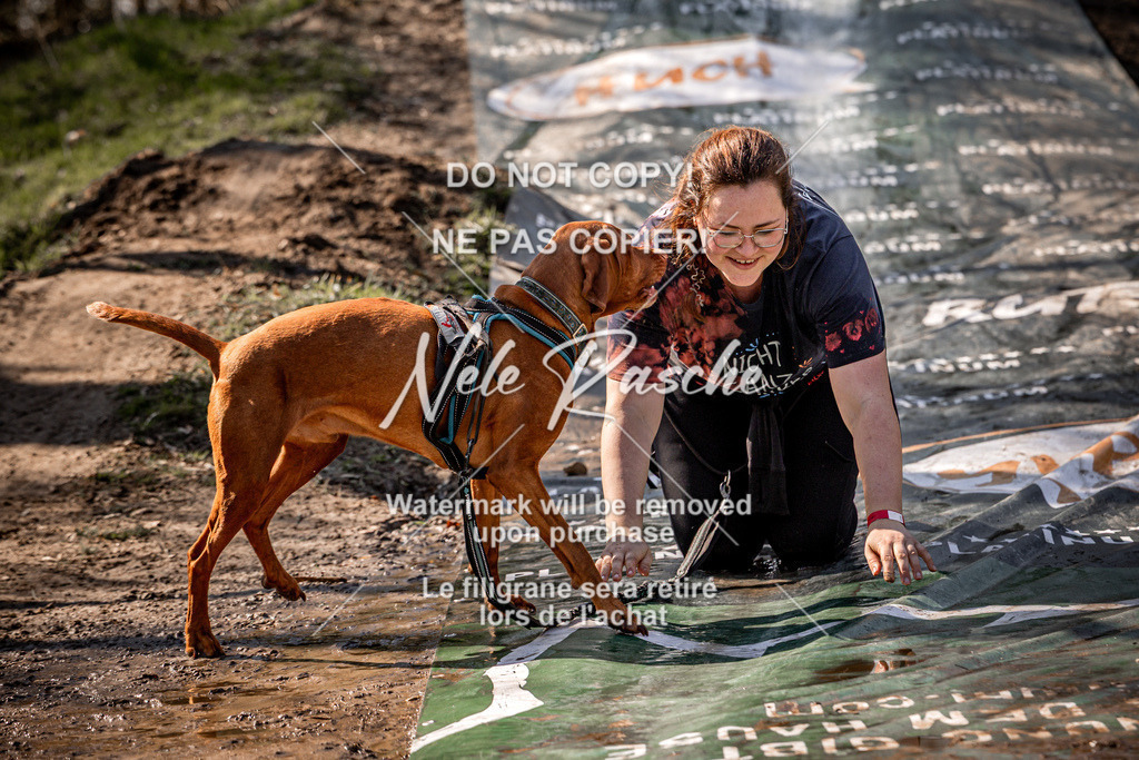 nelerasche_Hulsbeek_So1300-1330_63 | nelerasche