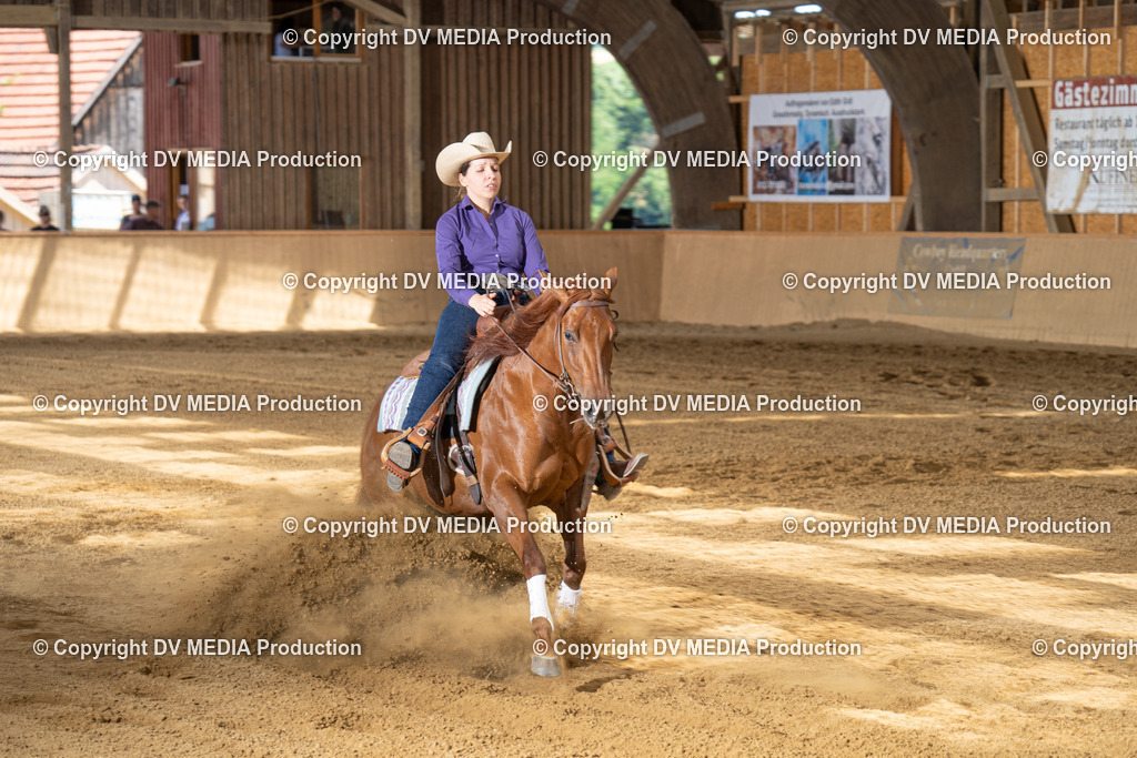 DSC00035 | dv-media-shop - Realisiert mit Pictrs.com