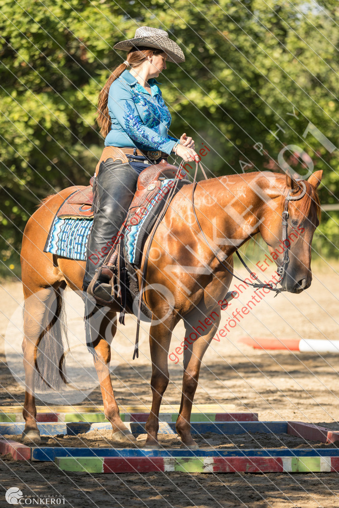 IMG_6929 | Sport-, Event- und Tierfotos in Profiqualität. Einfach auswählen, bestellen und herunterladen. Dein Moment – perfekt festgehalten.