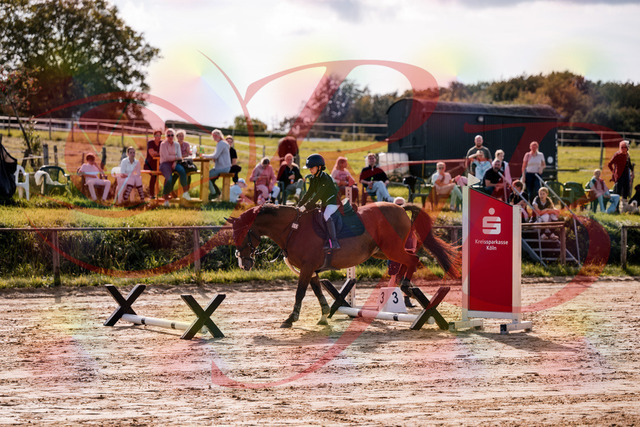 2026_10_03_Siefer-Hof_143807_Z81_07712848 | Professionelle Reitsport-, Turnier- und Eventfotografie von Robert Broda. Galerien mit ausgewählten und bearbeiteten Bildern direkt online ansehen und bestellen.