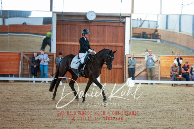 _62_5297 | Turniersportfotografie; Pferdefotografie; Dressurfotografie