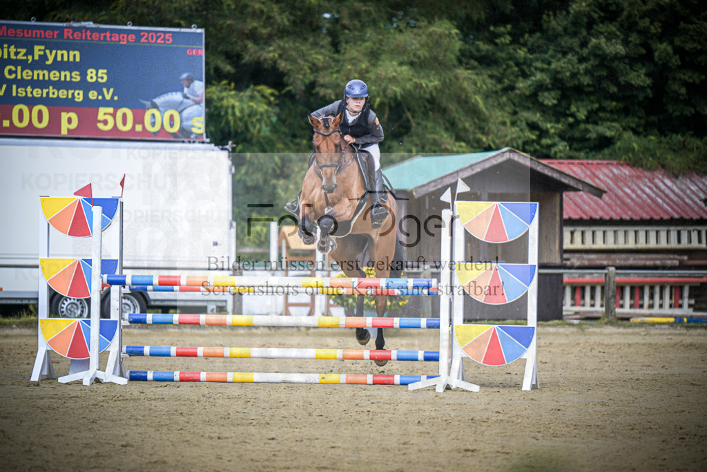 DOS_5320 | Entdecke hochwertige Reitturnierfotos von Foto Oger. Professionell, emotional und authentisch – jetzt Lieblingsmomente im Shop bestellen.Deutschlandweite Turnierfotografie. - Realisiert mit Pictrs.com