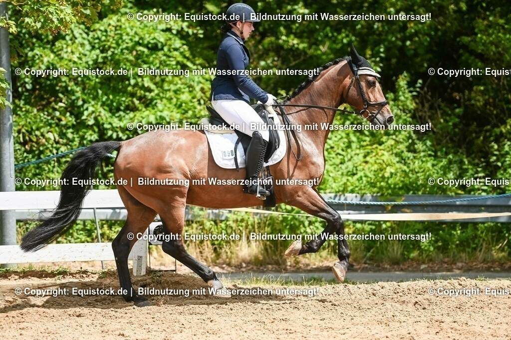 20230716_03_Dressurprfg. Kl.L - Tr._0688 | equistock