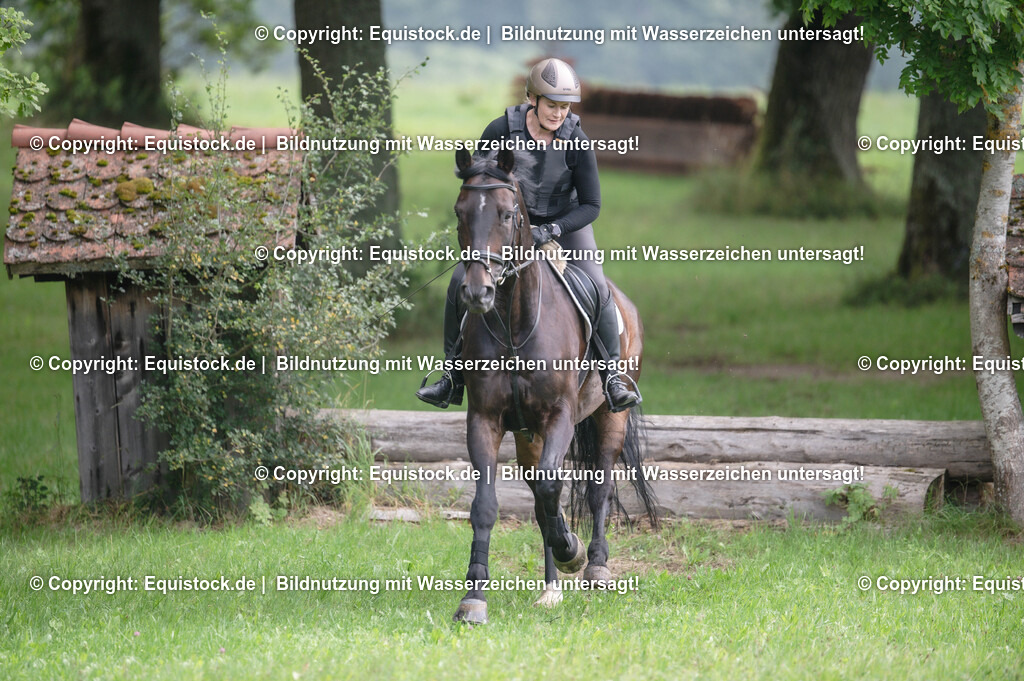 20250726_Vielseitigkeitslehrgang-Marbach_0401 | Foto: Thomas Hartig