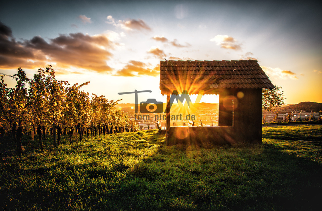 Hütte in Weinbergen bei Sonnenuntergang in Stuttgart | Ein kleine Hütte in Weinbergen bei Stuttgart Zuffenhausen. Im untergehenden Licht der Novembersonne. - Realisiert mit Pictrs.com