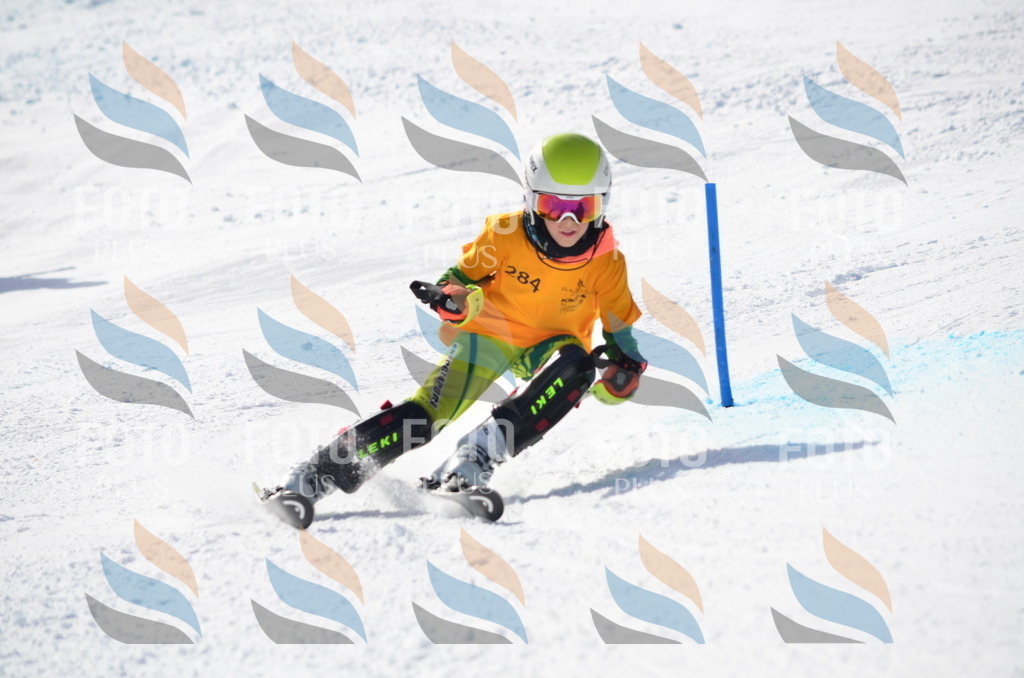 C8655 | holidayphoto