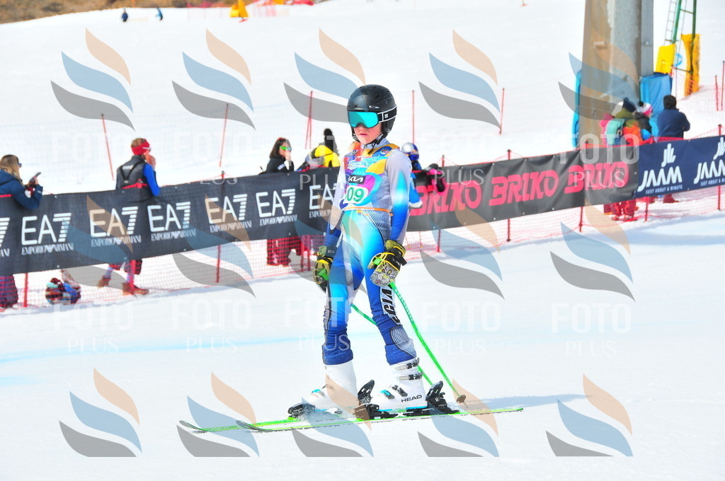 DSC_2860 | holidayphoto