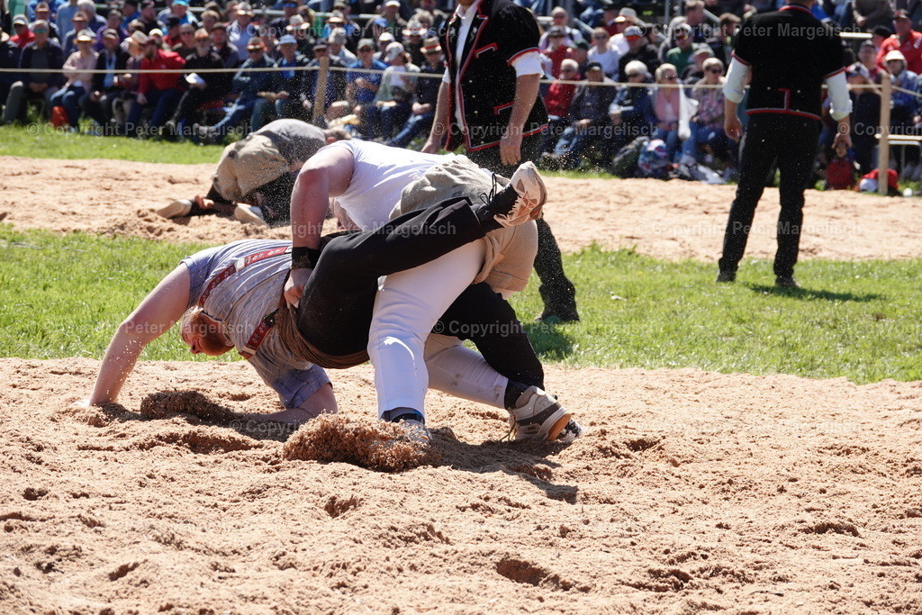 DSC00964 | Schwingen - Realisiert mit Pictrs.com