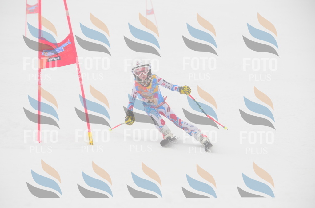 C0901 | holidayphoto