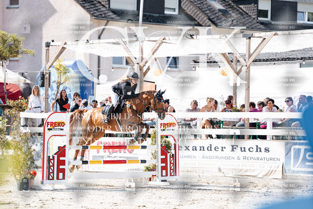 CK907950 | Turnierfotografie Pferdefotografie Trier Rheinland-Pfalz Pferdesport Reitsport Tierfotografie Sportfotografie Pferdevideo Pferdevideografie Equestrianvideography equestrianphotography  - Realisiert mit Pictrs.com