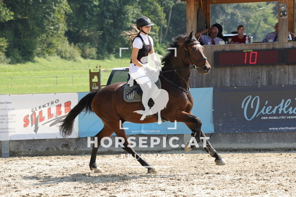 0P6A9295 | Willkommen bei Brunnmayr - Design & Fotografie – Ihrem Spezialisten für Reitturniere und Pferdeveranstaltungen in Oberösterreich, Salzburg und Bayern! Seit über 17 Jahren sind wir leidenschaftlich dabei.