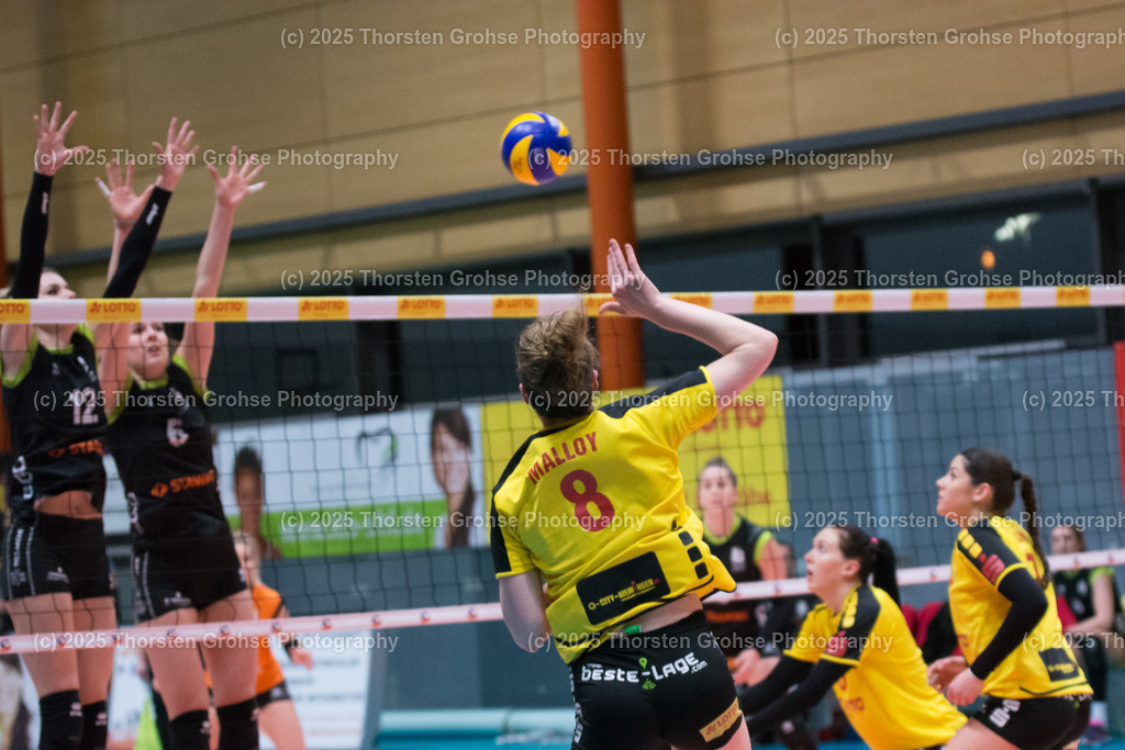 VBL VFB SUHL vs. LADIES IN BLACK AACHEN | Aachen in SCHWARZ gegen Suhl in GELB; VBL VFB SUHL vs. LADIES IN BLACK AACHEN, Volleyball-Bundesliga Frauen am 03.02.2018 in der Multihalle in Meiningen, (Deutschland) - Realisiert mit Pictrs.com