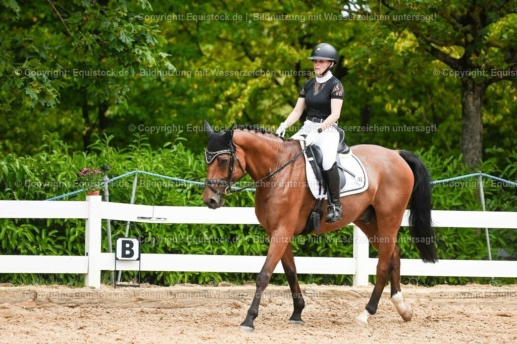 20230715_05_Dressurprüfung Kl.A++_0312 | equistock