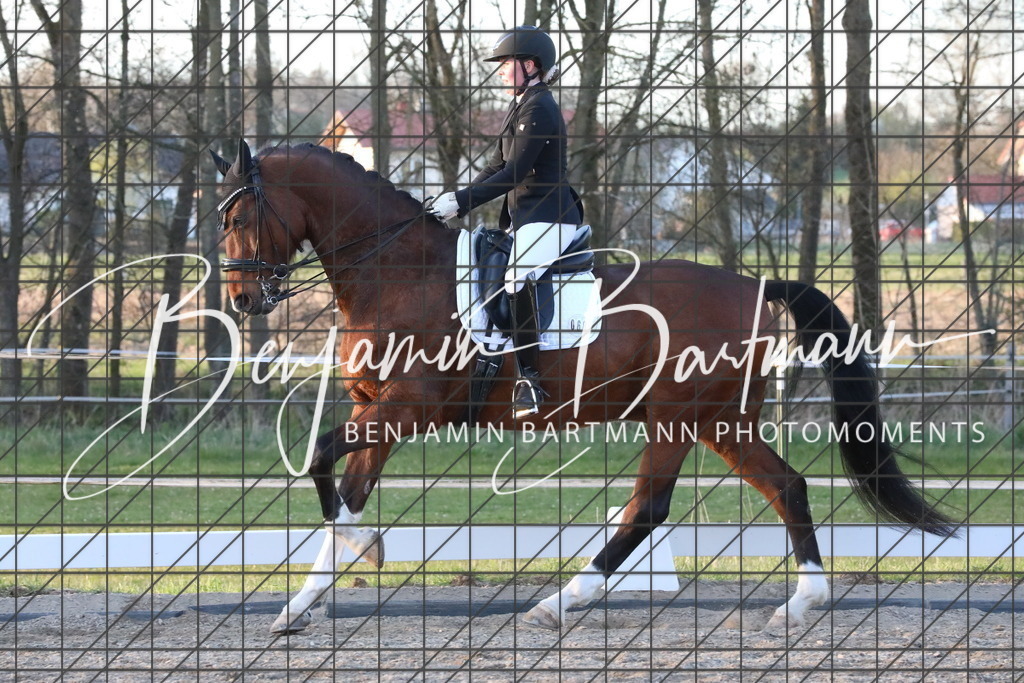 AZ2A5896 | Benjamin Bartmann Photomoments