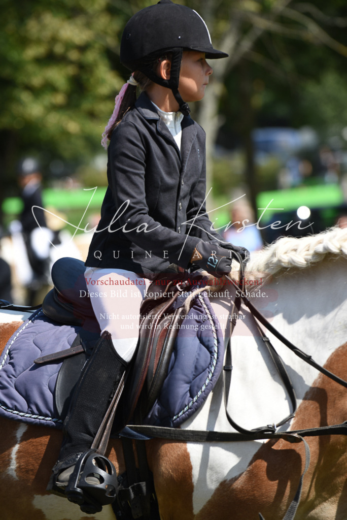 DSC_9839 | Pferde- und Turnierfotografie in Westsachsen. Pferdeportraits, Auftragszeichnungen und intuitive Kunst.