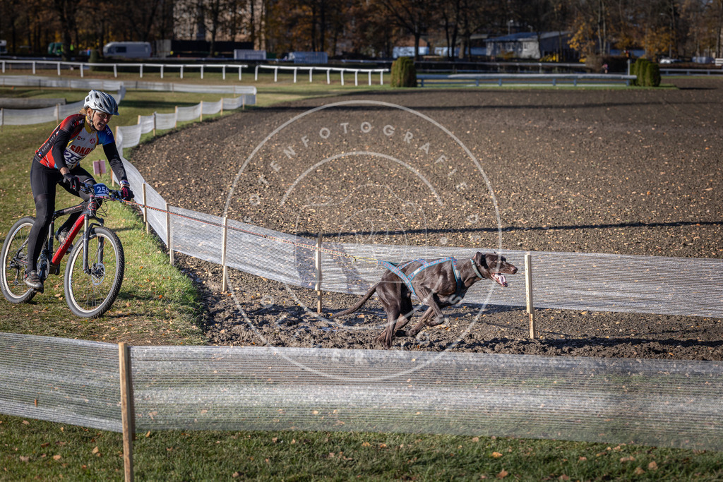 CaniXpix_DV3A4699 | Hundefotografie, Tierfotograf, Pfotenfotografie, Fotoshooting Hund, Hunde Portrait, Hundesport, Hundeportraits, Heideshooting, Hunde, Sportfotograf, Hundefotograf, Turnierhundsport, THS,  - Realisiert mit Pictrs.com