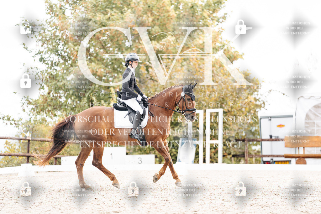 CK900774 | Turnierfotografie Pferdefotografie Trier Rheinland-Pfalz Pferdesport Reitsport Tierfotografie Sportfotografie Pferdevideo Pferdevideografie Equestrianvideography equestrianphotography  - Realisiert mit Pictrs.com