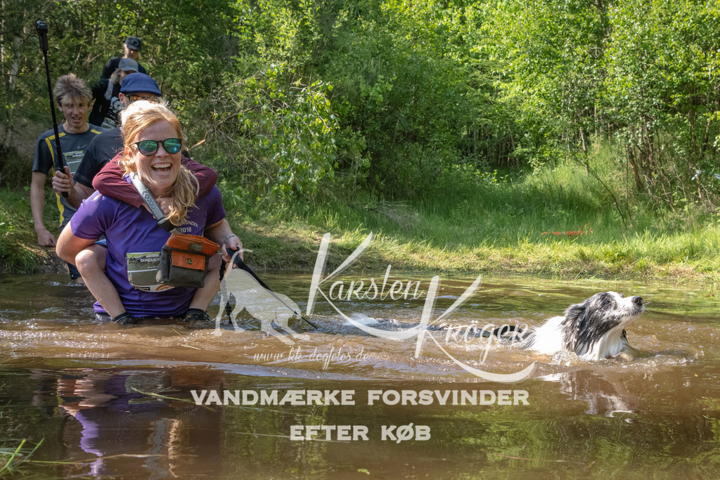 1629DKK990666 | kk-dogfotos