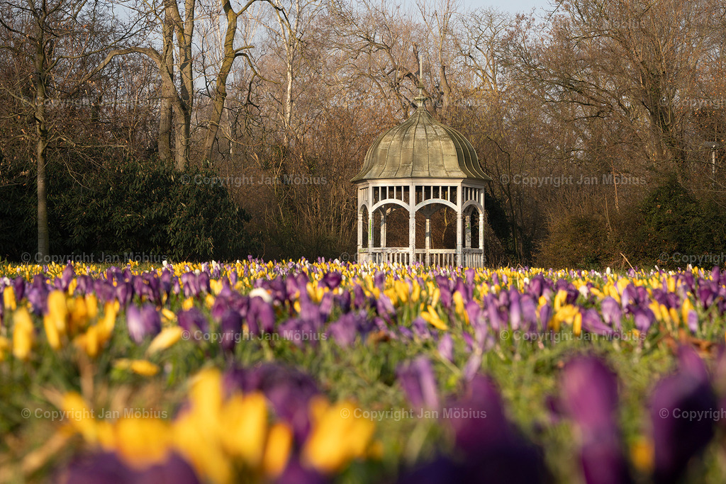 _DSC9991 | Leipzig Wandbilder Drucke Prints Leinwand Stadtmotive Leipzig Fotosdruck Kunstdrucke Bilder Leipzig Stadtansichten Acrylglasbilder Leipzig Wanddeko Fine Art Prints Wandbilder Büro Leipzig Bilder Praxis Zuhause Bilderdruck Poster Posterlounge Kunstdrucke - Realisiert mit Pictrs.com