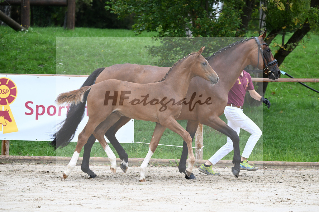Kat-Nr. 6 HF Erdinger_Scherer_25230060 | hf-fotografie - Realisiert mit Pictrs.com