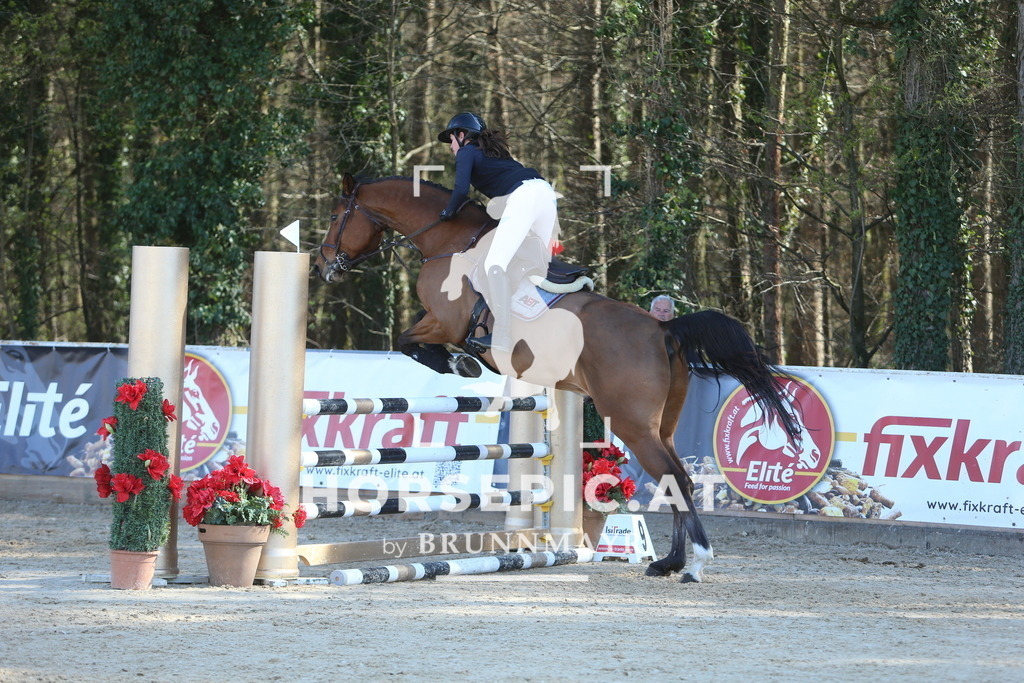 DL2Q1108 | Willkommen bei Brunnmayr - Design & Fotografie – Ihrem Spezialisten für Reitturniere und Pferdeveranstaltungen in Oberösterreich, Salzburg und Bayern! Seit über 17 Jahren sind wir leidenschaftlich dabei.