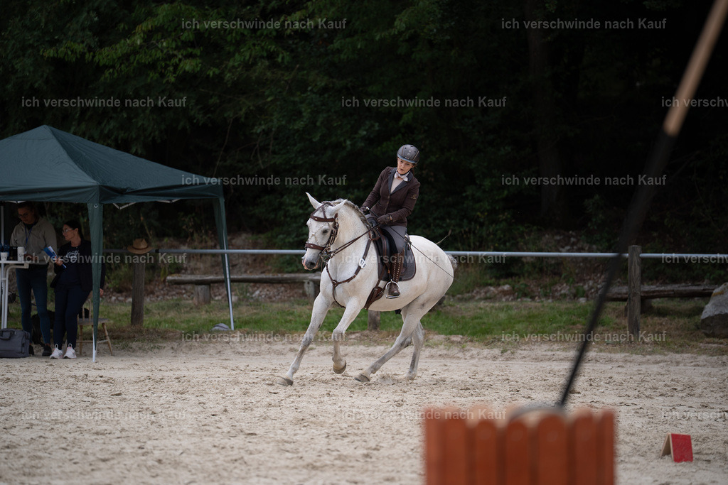 WL_ST_69_stoibphotography__SO10830 | working equitationturnier fotograf videograf stoibphotography marixx film working equitation deutschland reitsport turnierfotografie eventfotografie equestrian events