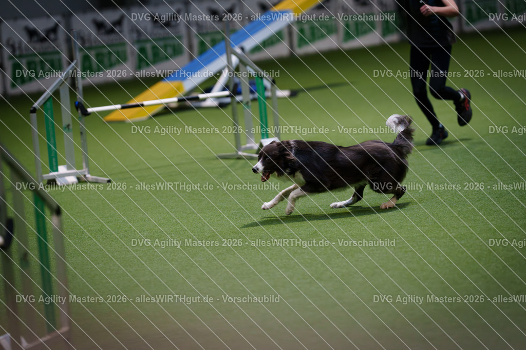 allesWIRTHgut_Tierfotografie-DVG_Agility_Masters_2026-16_09-7R503545 | Professionelle Tierfotografie in Mönchengladbach von Daniel Wirth (allesWIRTHgut). Liebevolle & natürliche Bilder von Hunden & Katzen für unvergessliche Erinnerungen.