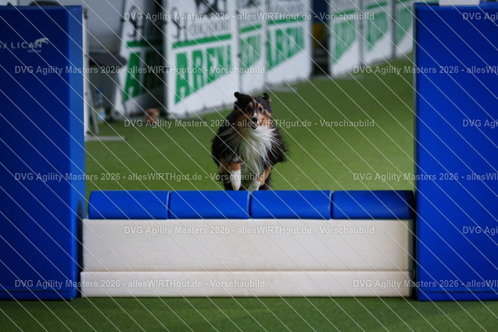 allesWIRTHgut_Tierfotografie-DVG_Agility_Masters_2026-11_30-7R506264 | Professionelle Tierfotografie in Mönchengladbach von Daniel Wirth (allesWIRTHgut). Liebevolle & natürliche Bilder von Hunden & Katzen für unvergessliche Erinnerungen.