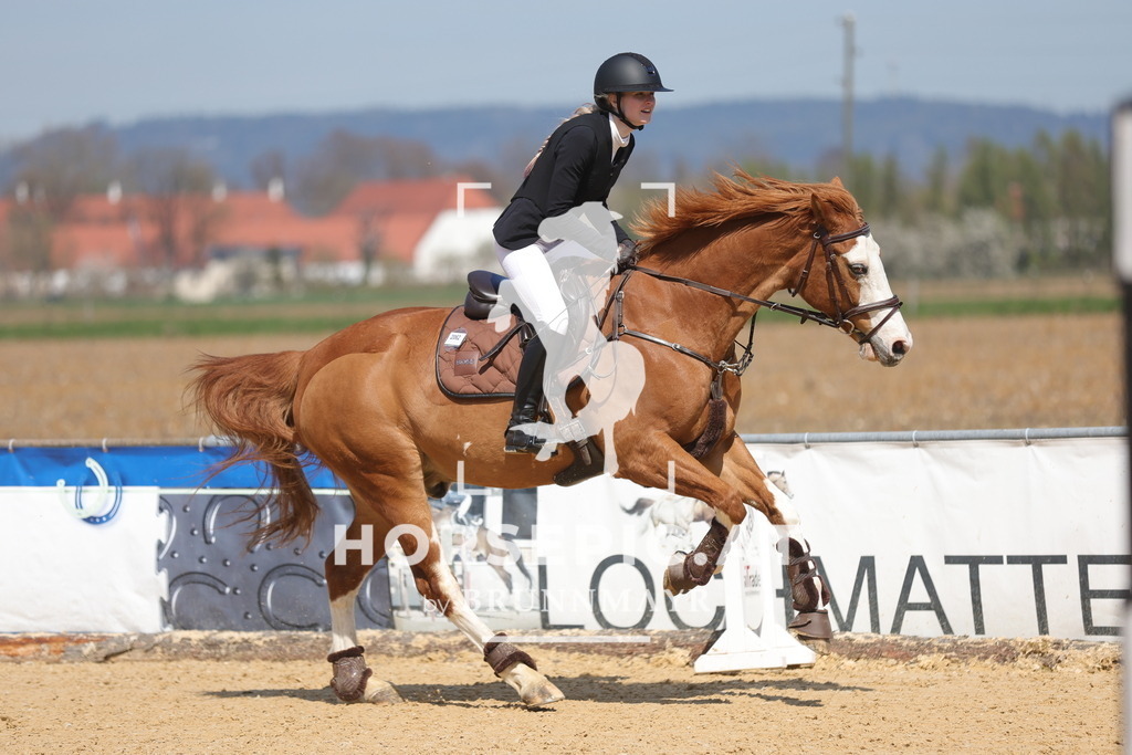 0P6A0635 | Willkommen bei Brunnmayr - Design & Fotografie – Ihrem Spezialisten für Reitturniere und Pferdeveranstaltungen in Oberösterreich, Salzburg und Bayern! Seit über 17 Jahren sind wir leidenschaftlich dabei.